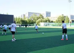 东北足球小将表现抢眼,助力球队进入决赛(东北足球明星) 东北足球小将表现抢眼,助力球队进入决赛(东北足球明星)